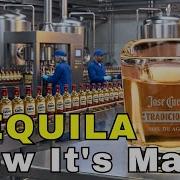 How Tequila Is Made Why Only Mexico Can Make It