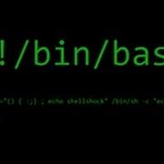 Shellshock Attack Lecture