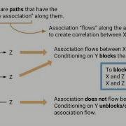 Causal And Noncausal Paths