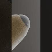 Seamless Infinity Time Is An Illusion Einstein Infinite Macro Loop Shorts Viral Closeup