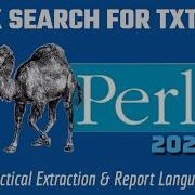 Perl Programming Regex Text File Search Project 2024