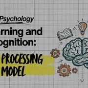 IB Psychology Learning And Cognition Dual Processing Model