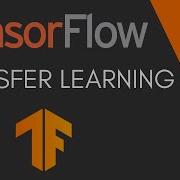Учебник TensorFlow 11 Передача обучения тонкая настройка и TensorFlow Hub