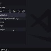 2 Compiled Python Files