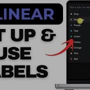 How To Set Up And Use Labels In Linear