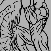 MUAY THAI ANIMATION SAKUGA