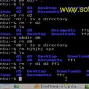 How To Delete Multiple Files And Directories In Bash