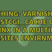 Caching Varnish Vs Fastcgi Cache On Nginx In A Multiple Websites Envirnment 3 Solutions