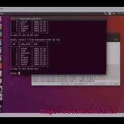 How To Sort Results In MySQL