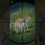 Do THIS If You Wanna RUIN Your Grind Big Mistakes Te Awaroa The Hunter Call Of The Wild Shorts