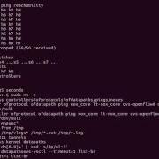 Mininet Installation And Topology View On The HP SDN Controller
