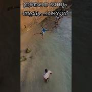 Do NOT Dive Into Water Like This MUST WATCH Dive Waterdiving Wrong Watersecurity Shorts Feed
