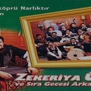 Zekeriya Ünlü Zeytin Yaprağı Yeşil