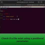 Shell Scripting Positional Parameter Example Shorts Linux