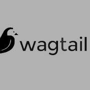 Wagtail CMS Part 1