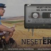 Neşet Ertaş Gel Gayrı Gel