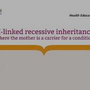 X Linked Recessive Inheritance Where The Mother Is A Carrier For A Condition