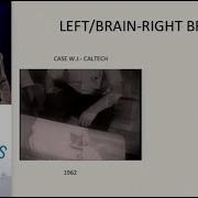 APS Award Address Lessons Learned From Split Brain Research