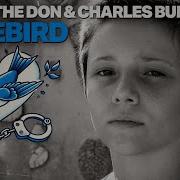 BLUEBIRD Ft Charles Bukowski Music Video