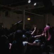 Backtrack Darker Half Live Walters 3 15 14