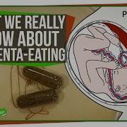 What We Really Know About Placenta Eating