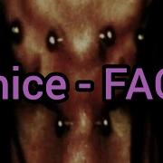 9mice FACE Текст