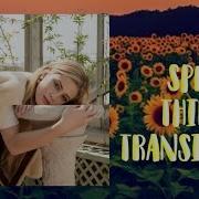 Split Thing Transition Tutorial Cute Cut Pro