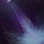 Trapcode Particular Dandelion