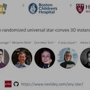 AnyStar Domain Randomized Universal Star Convex 3D Instance Segmentation