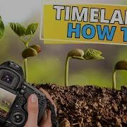 HOW TO Make Your Own Plant TIMELAPSE