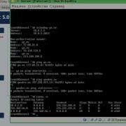 Server Part2 Route Avi
