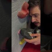 Как правильно менять ноги во время подъема как