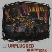 Nirvana On A Plain Unplugged Lyrics