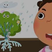 Plant Structures Science 1st Grade Kids Academy