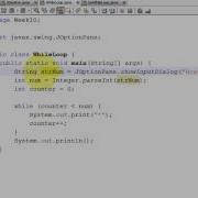 Java WHILE Loops