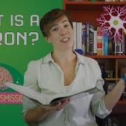 What Is A Neuron
