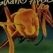 Guano Apes Open Your Eyes W Lyrics