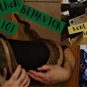 Ball Python Behavior How To Read Your Snake S Body Language