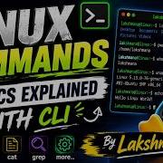 Linux Commands Every Beginner Should Know Complete CLI Guide Part 2