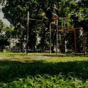 Street Workout Swing 360 Progression