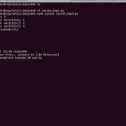 Mininet Custom Topology