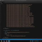 LoadRunner DEVELOPER