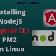 How To Install NodeJS Angular CLI And PM2 On Ubuntu Linux Install NodeJS Install Angular 2021