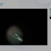Enhancing Surgical Precision Preoperative And Intraoperative Imaging Techniques Case 1