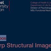 SPM Tutorial 14 Warp Structural Images
