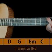 PLAY ALONG HEART OF GOLD NEIL YOUNG Guitar Pilgrim