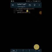 Print и Input стартовые команды туториал по Python 1