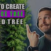 Speedtree Tutorial How To Create A Spruce Tree