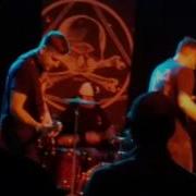 Search Live ST Vitus Bar In Brooklyn NY