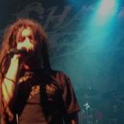 Shadows Fall Divide And Conquer LIVE HD